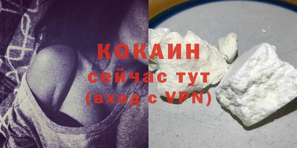 гидра Аркадак
