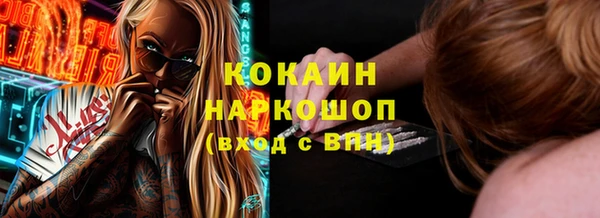 гидра Аркадак