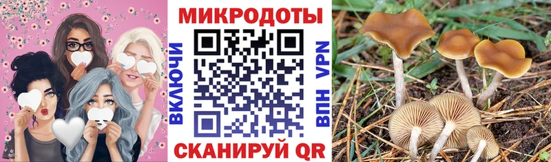 Псилоцибиновые грибы ЛСД  Пустошка 